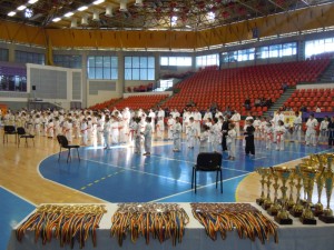 campionat karate aprilie 2013