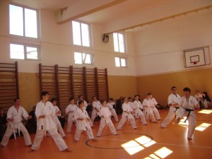 seminar karate kyokushin targu jiu