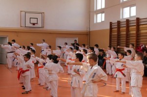 seminar aniversar karate kyokushin targu jiu