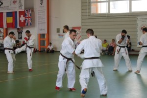 Seminar campionat international karate kyokushin