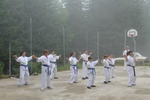 tabara karate kyokushin paltinis