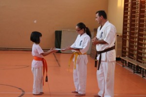 concurs cultura generala kyokushin