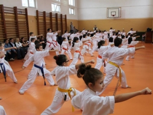 examen karate Targu Jiu